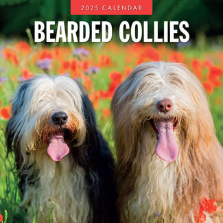 Red Robin Bearded Collie Calendar 2025