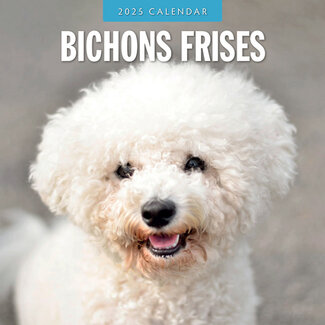 Red Robin Bichon Frise Calendar 2025