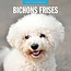 Red Robin Bichon Frise Calendrier 2025