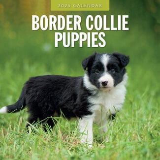 Red Robin Border Collie-Welpen Kalender 2025