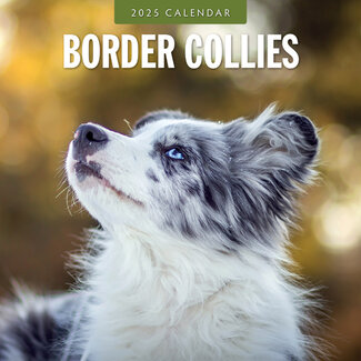 Red Robin Border Collie Calendar 2025