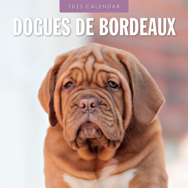 Red Robin Calendrier des chiens de Bordeaux 2025