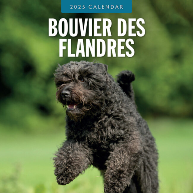 Bouvier-Kalender 2025