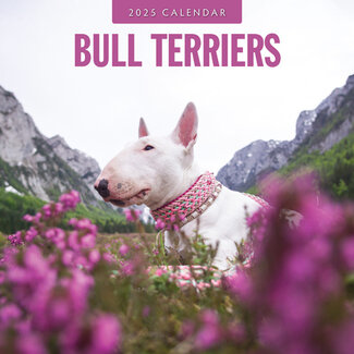 Red Robin Calendario Bull Terrier 2025