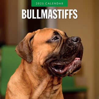 Red Robin Calendrier Bullmastiff 2025