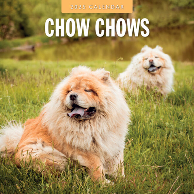 Calendario Chow Chow 2025