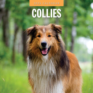 Red Robin Calendario Collie - Pastore scozzese 2025