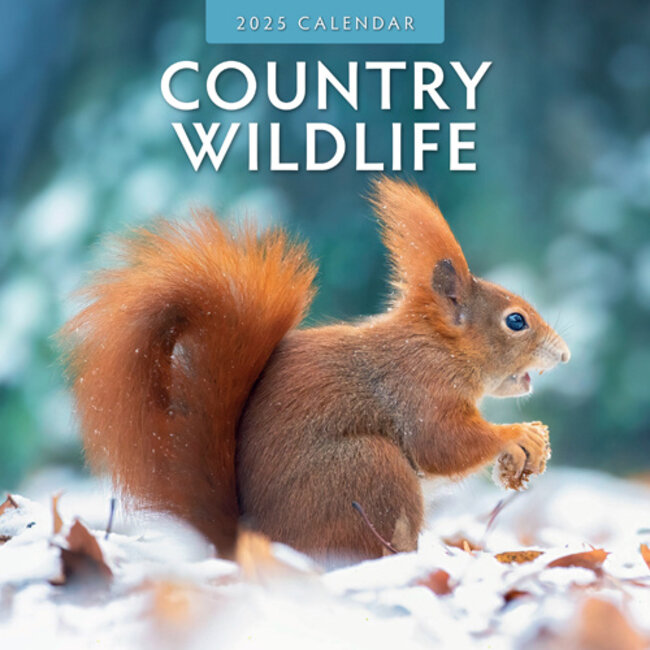 Country Wildlife Kalender 2025