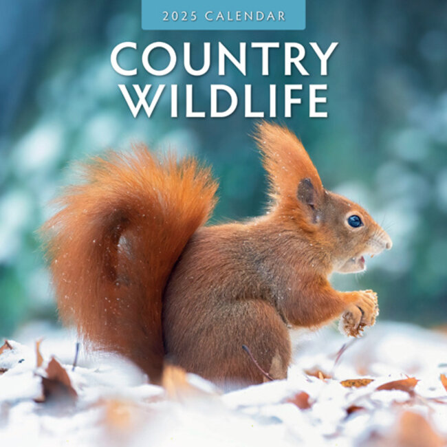 Red Robin Country Wildlife Calendar 2025