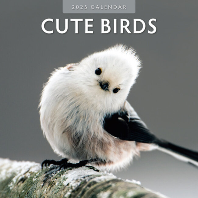 Cute Birds Calendar 2025