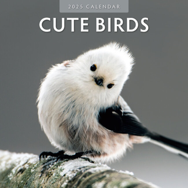 Cute Birds Kalender 2025