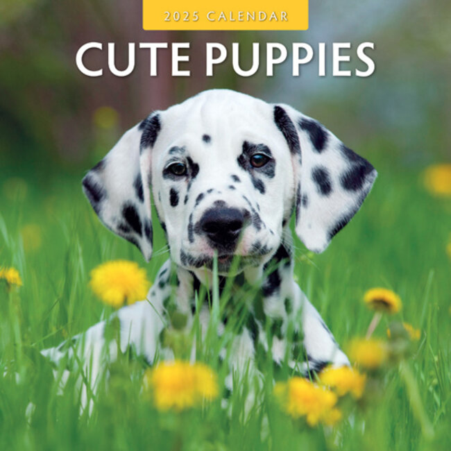 Cute Puppies Kalender 2025