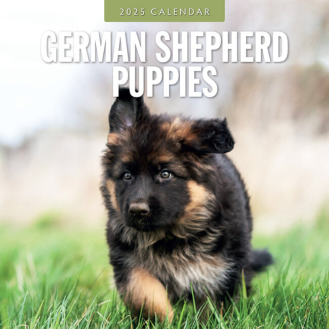 German Shepherd Puppies Calendar 2025