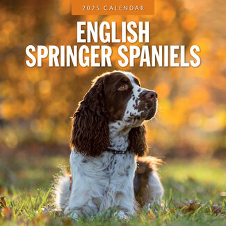 Red Robin English Springer Spaniel Calendar 2025