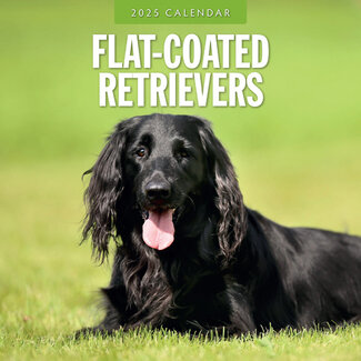 Red Robin Flatcoated Retriever Calendario 2025