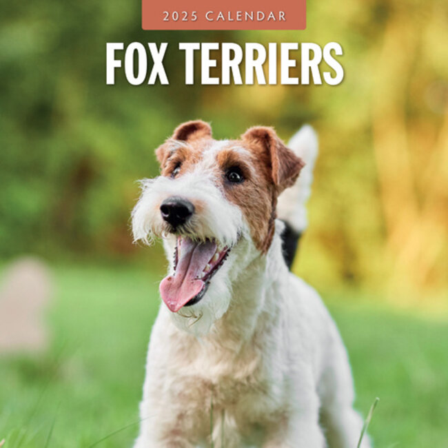 Fox Terrier Kalender 2025 Kopen? Eenvoudig en snel online besteld