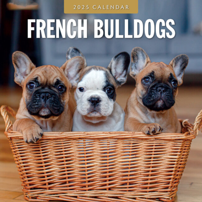 French Bulldog Calendar 2025