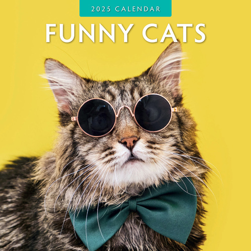 Funny Cats Kalender 2025 Kopen? Eenvoudig en snel online besteld