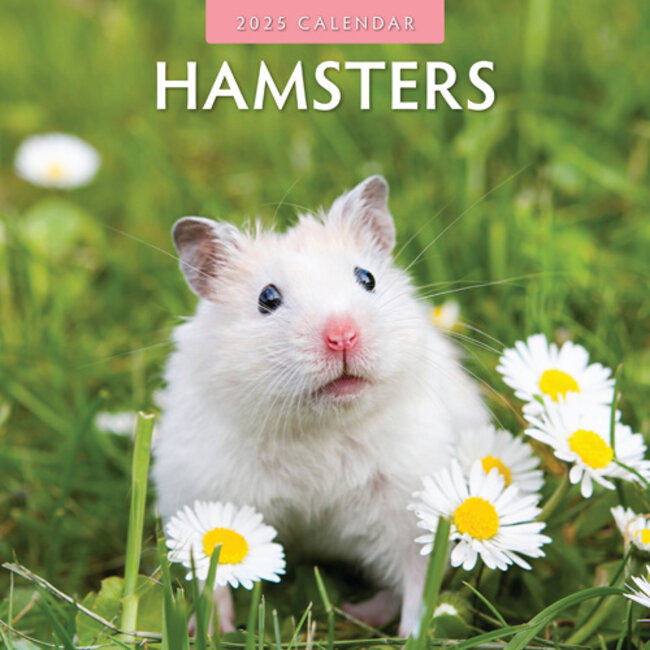 Hamster-Kalender 2025