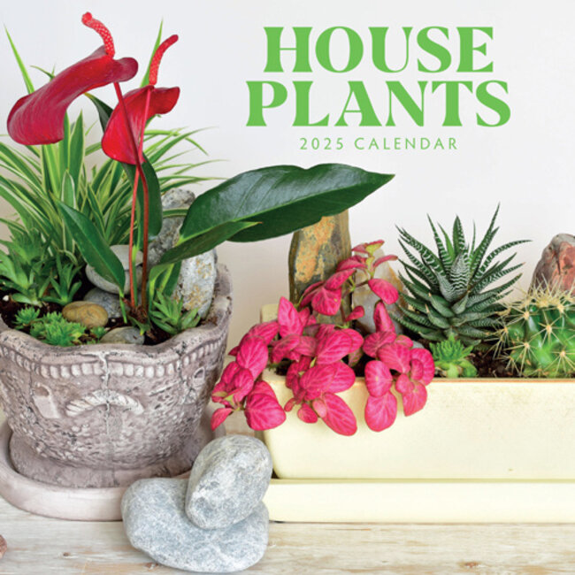 House Plants Kalender 2025