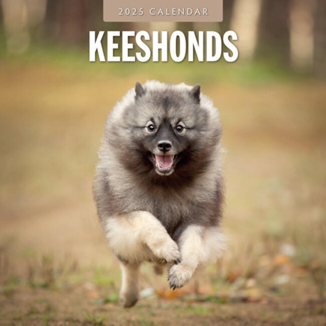 Calendario Keeshond 2025