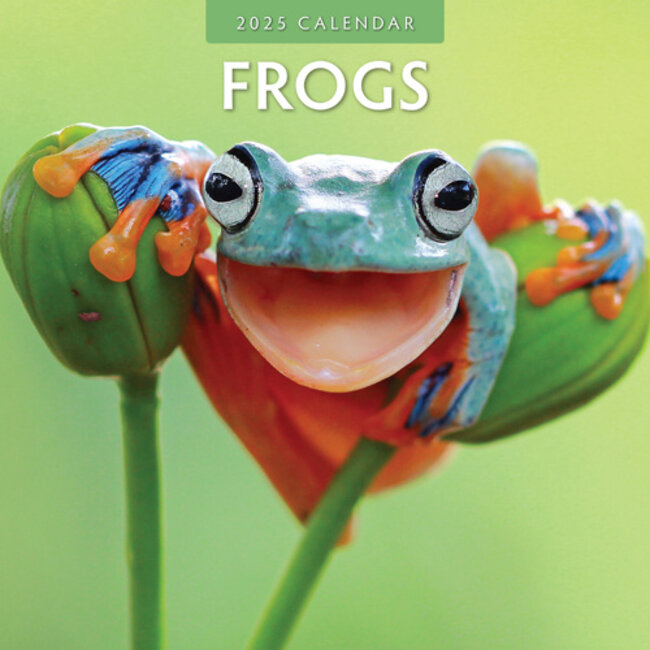 Buying Frog Calendar 2025? Easily and quickly ordered online