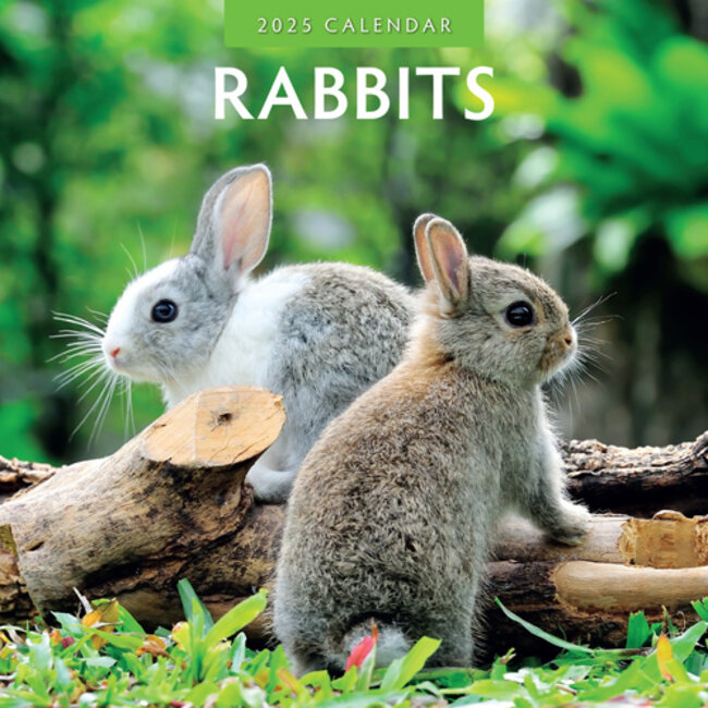 Buying Rabbits Calendar 2025? Quick and easy online Kalenderwinkel.nl