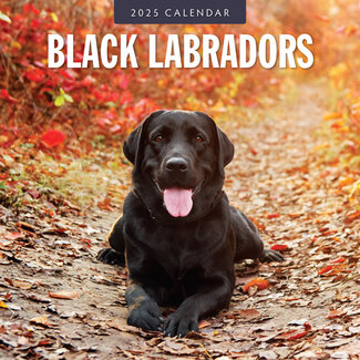 Red Robin Calendario nero del Labrador Retriever 2025