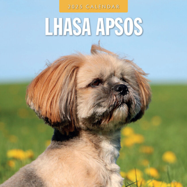 Lhasa Apso Calendar 2025