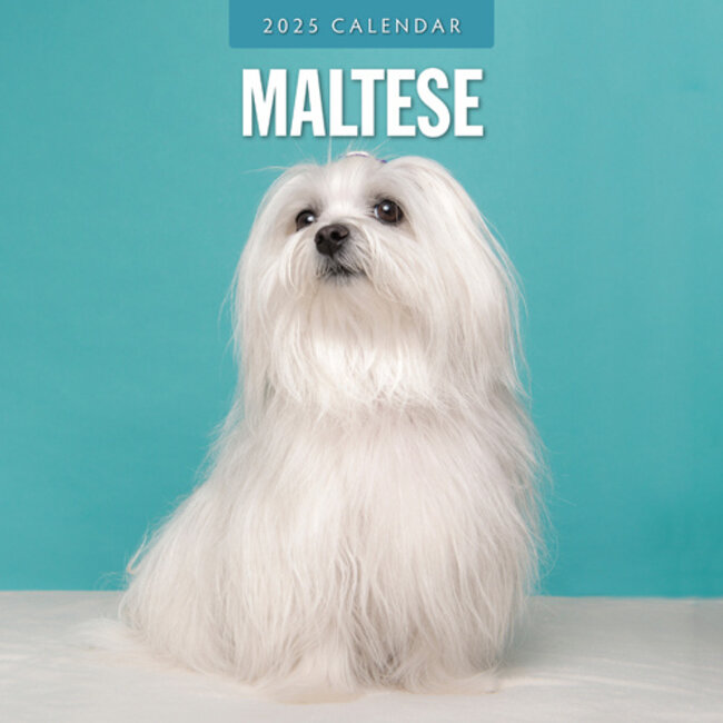 Maltese Calendar 2025