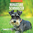 Red Robin Miniatuur Schnauzer Kalender 2025