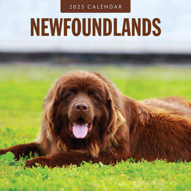 Buying Newfoundland Calendar 2025? Easily and quickly ordered online