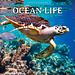 Red Robin Ocean Life Calendar 2025