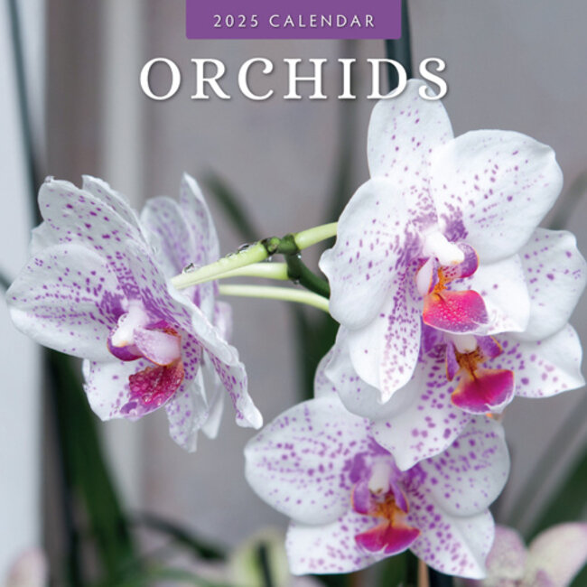Red Robin Calendario delle orchidee 2025