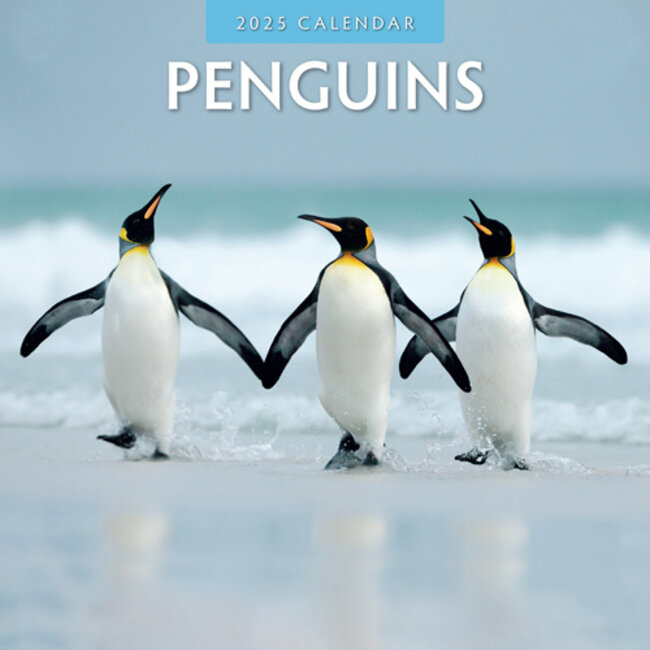 Calendario Penguin 2025