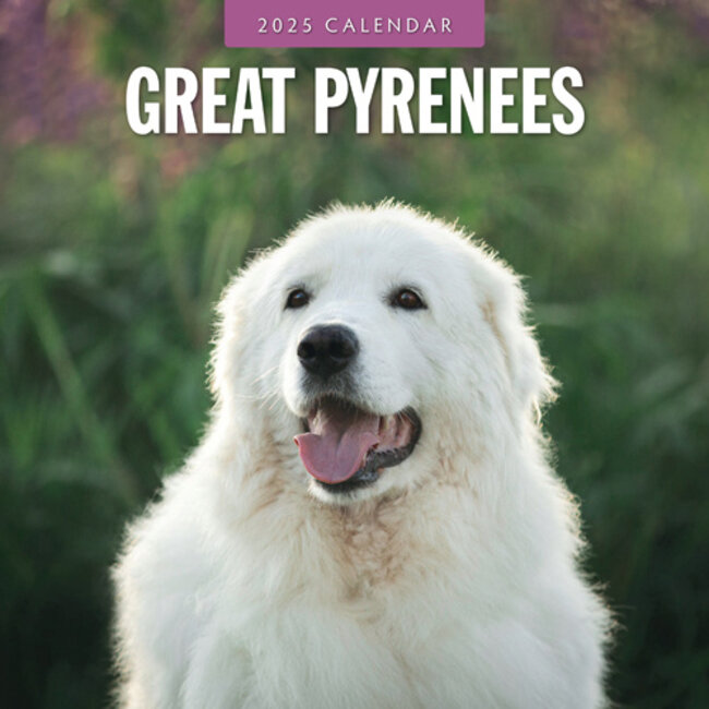 Pyrenean Mountain Dog Calendar 2025