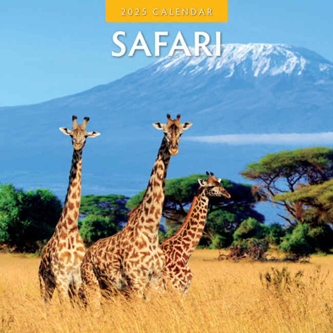 Calendario Safari 2025