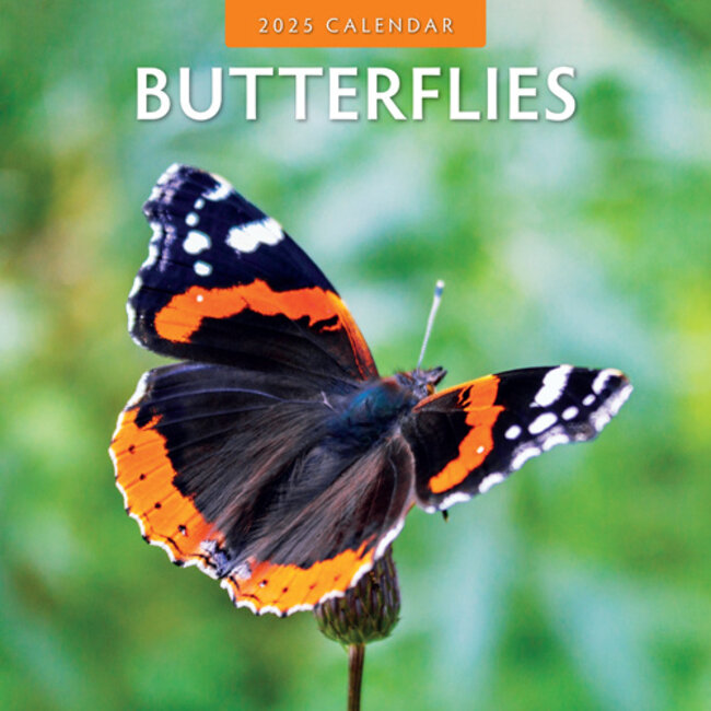 Butterfly Calendar 2025