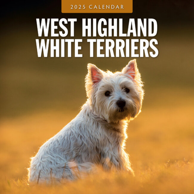 West Highland White Terrier Kalender 2025 Kopen? Bestel eenvoudig Online Kalenderwinkel.nl