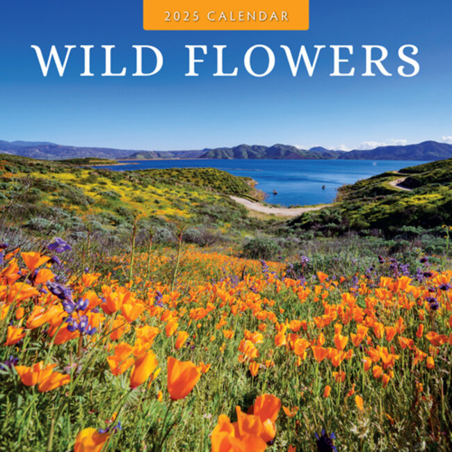 Wild Flowers Calendar 2025
