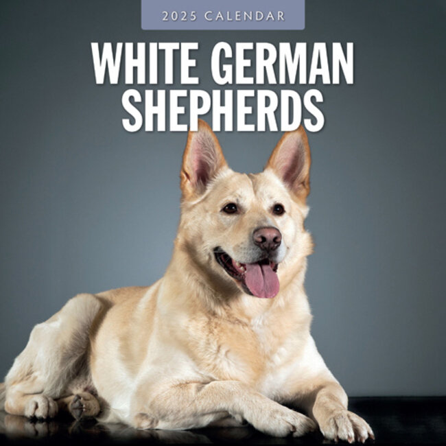 White Shepherd Calendar 2025