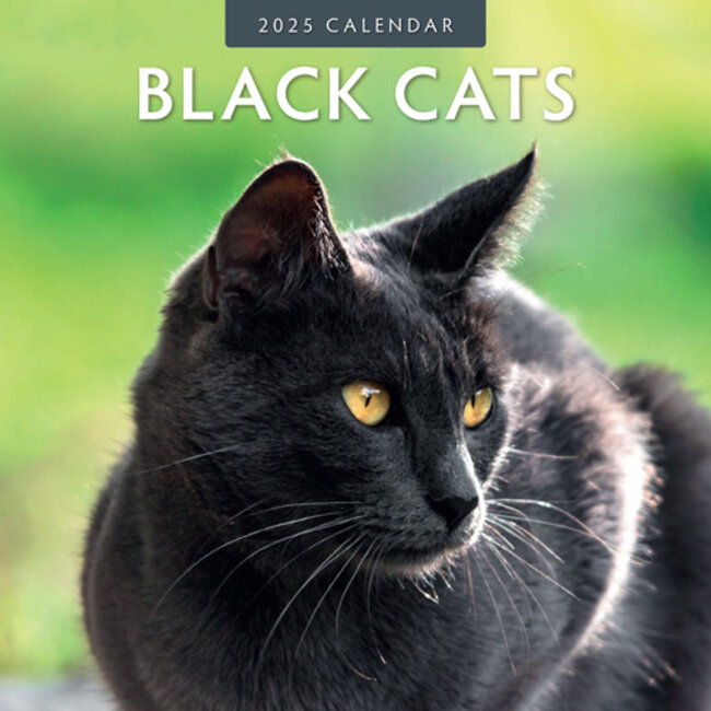 Calendrier des chats noirs 2025