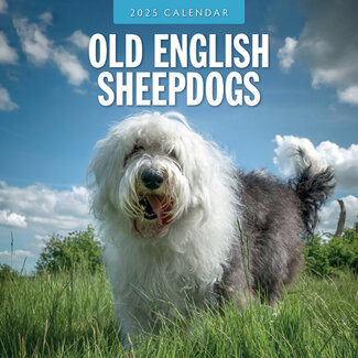 Red Robin Bobtail / Old English Sheepdog Calendario 2025