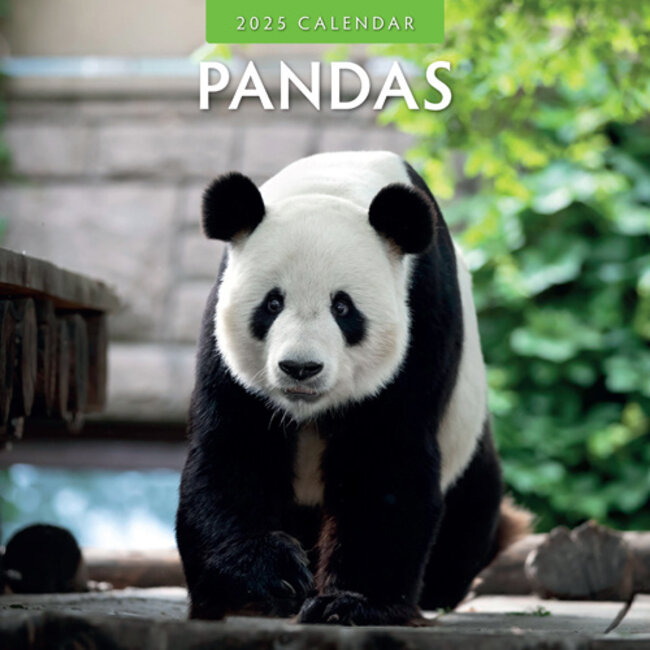 Panda Calendar 2025