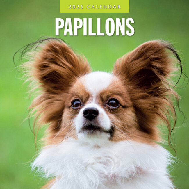 Buying Papillon Calendar 2025? Easy and fast online ordering