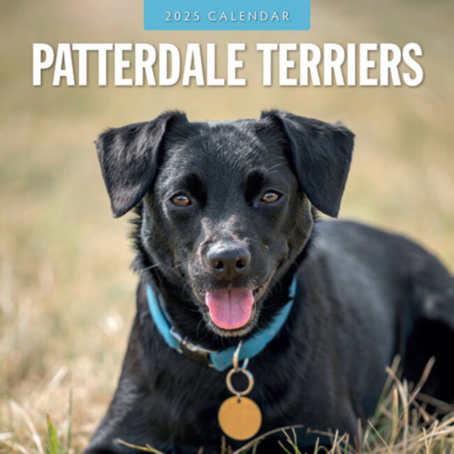 Patterdale Terrier Kalender 2025