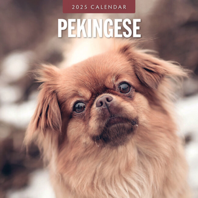 Pekingees Kalender 2025