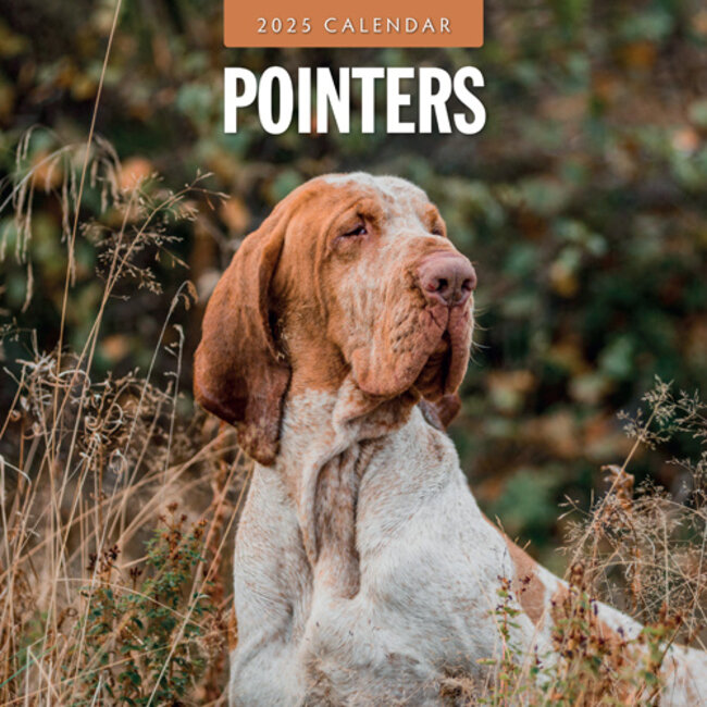 Pointer Calendar 2025