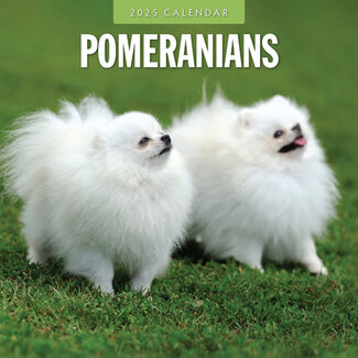 Red Robin Calendario Pomerania 2025