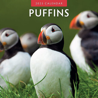 Red Robin Puffin-Kalender 2025